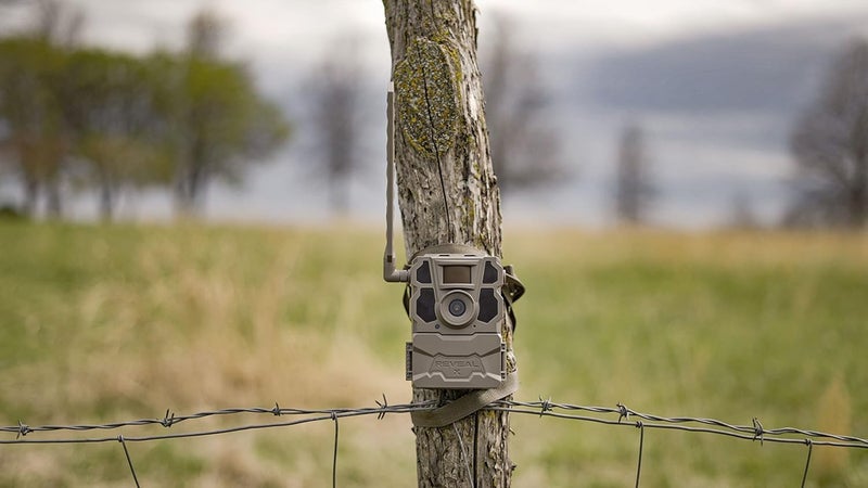 TACTACAM Reveal X 2.0 Cellular Trail Camera: Auto Connect 4G LTE, 720p Video, Low-Glow IR Flash, Long Battery Life – Easy-to-Use Cell Camera for Hunting, Game Monitoring, Wildlife Observation - Image 2
